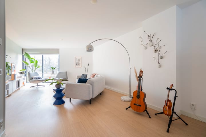 Foto 21 van Kokardebloem 25