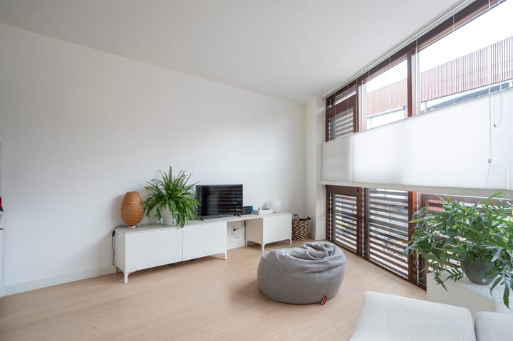 Foto 23 van Kokardebloem 25