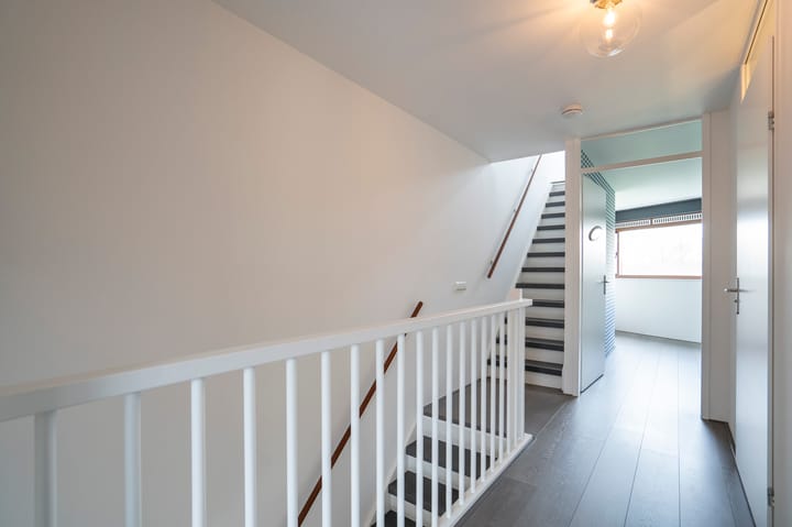 Foto 25 van Kokardebloem 25