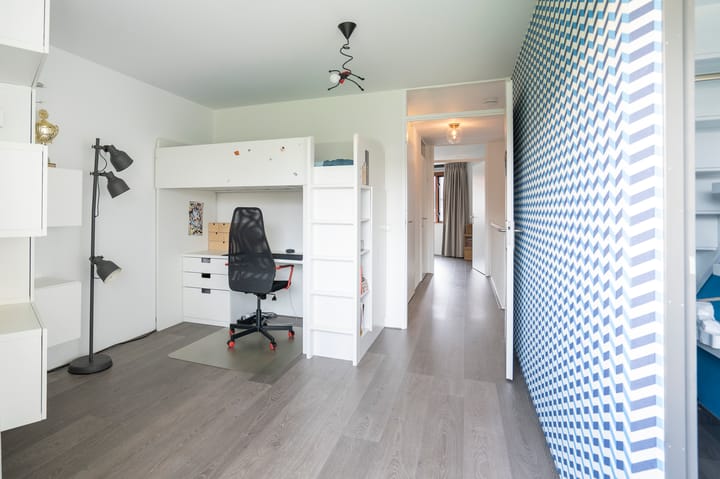 Foto 26 van Kokardebloem 25