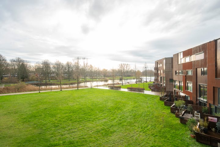 Foto 29 van Kokardebloem 25