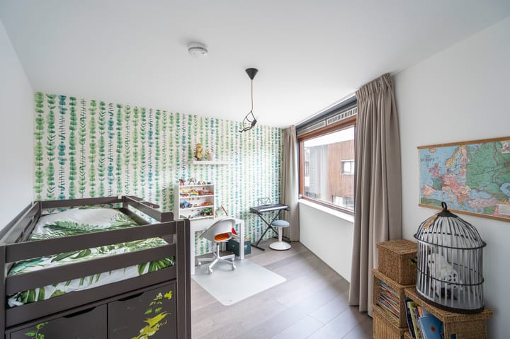 Foto 30 van Kokardebloem 25