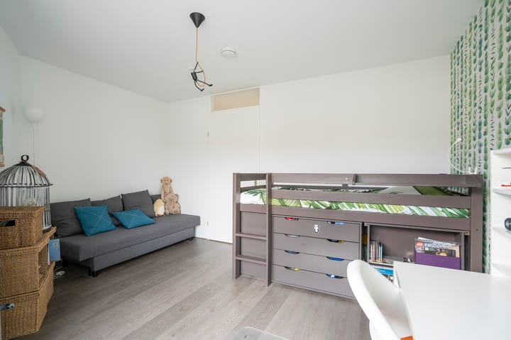 Foto 31 van Kokardebloem 25