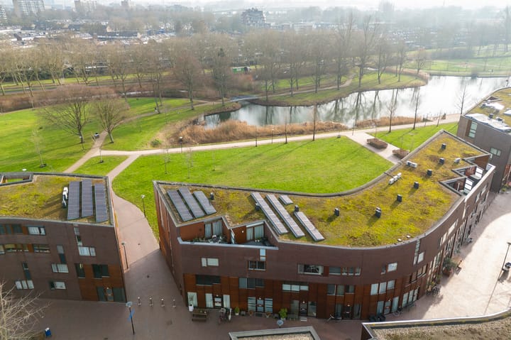 Foto 39 van Kokardebloem 25