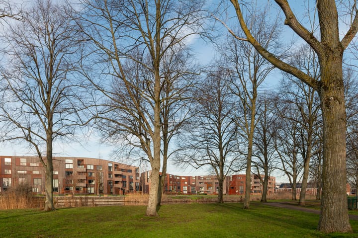 Foto 41 van Kokardebloem 25