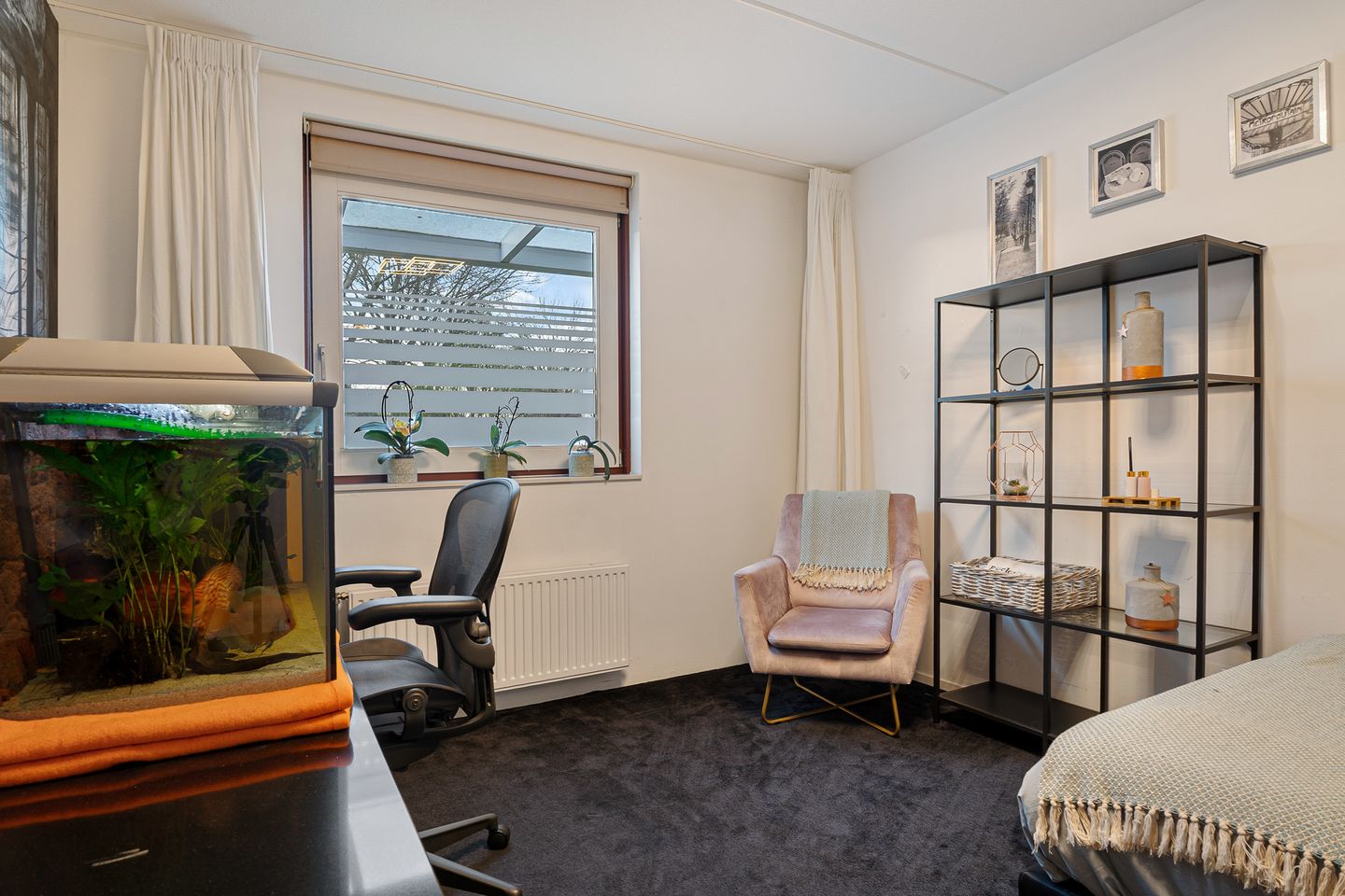 Photo 29 of Frank Sinatrarode 3