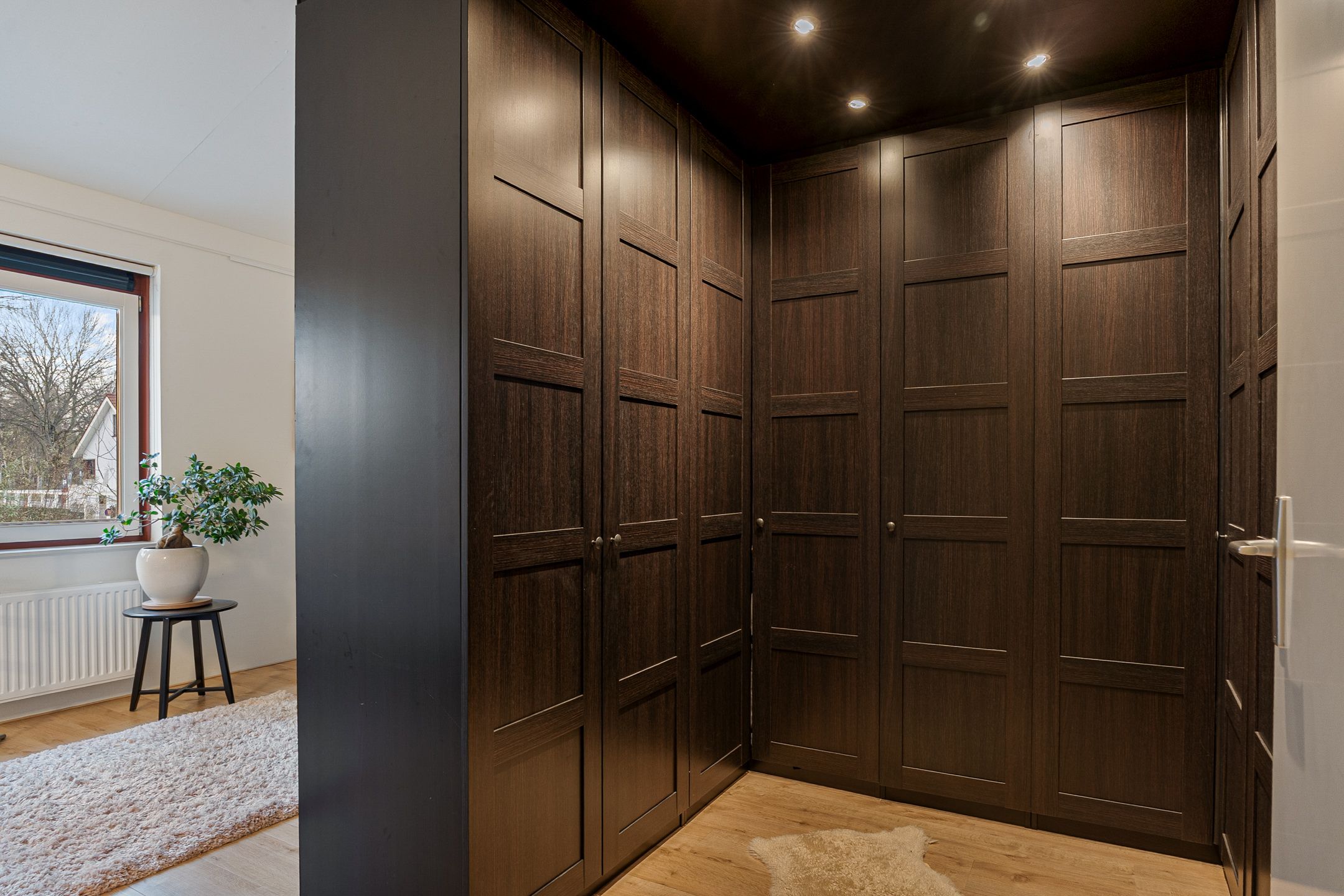 Photo 36 of Frank Sinatrarode 3