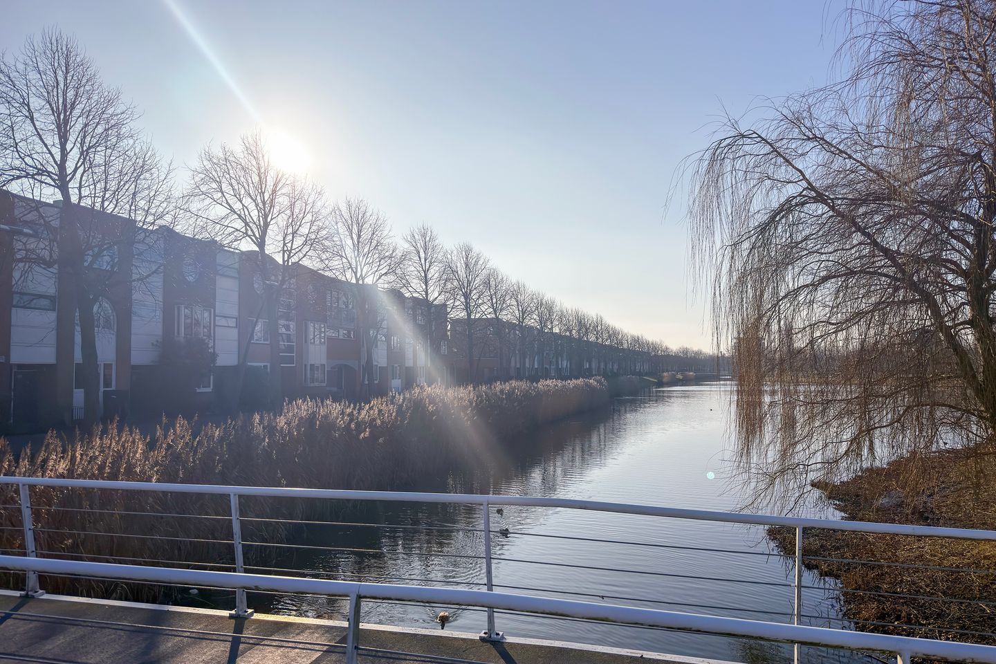 Foto 5 van Vivaldisingel 161