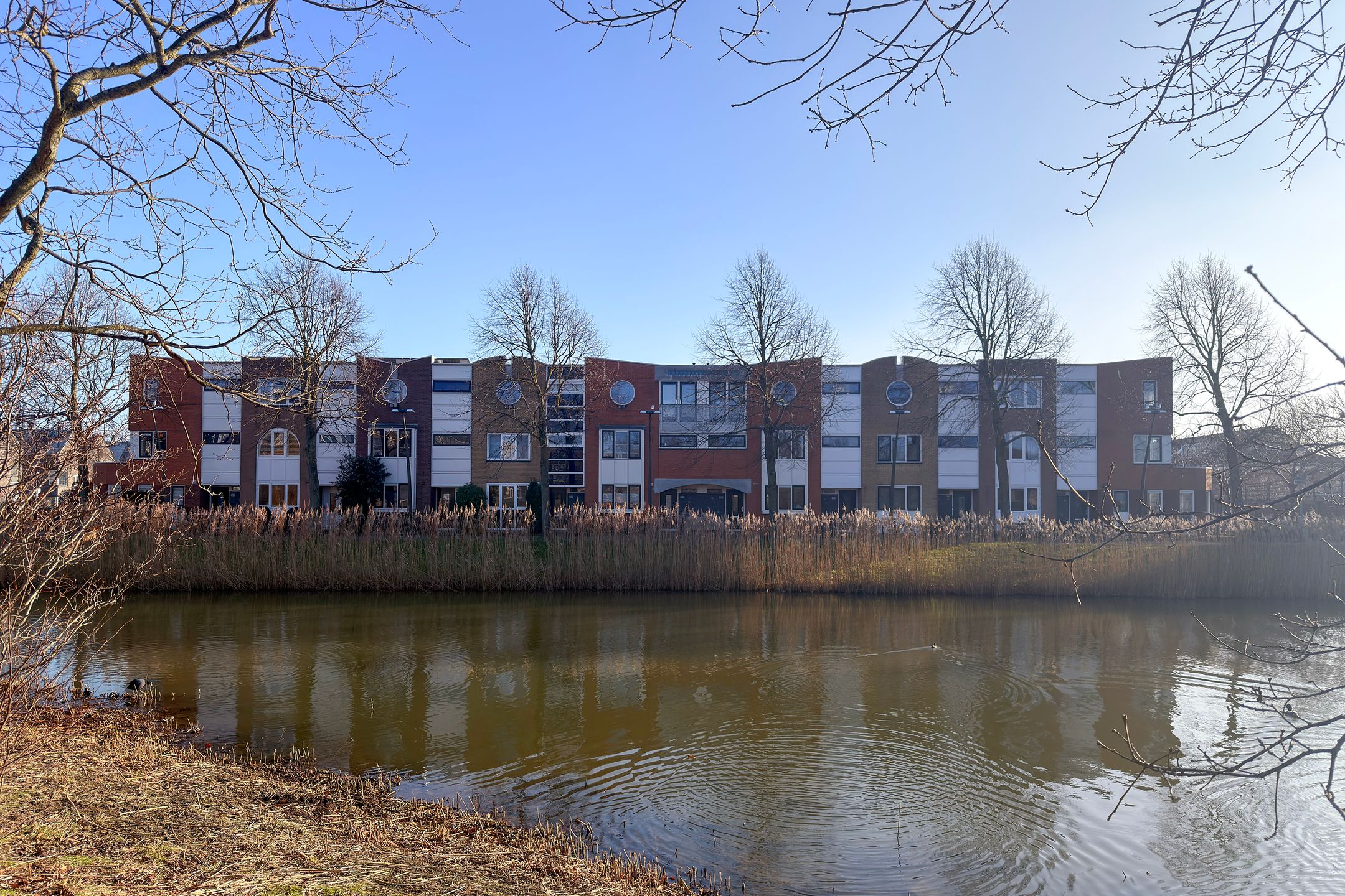 Foto 6 van Vivaldisingel 161