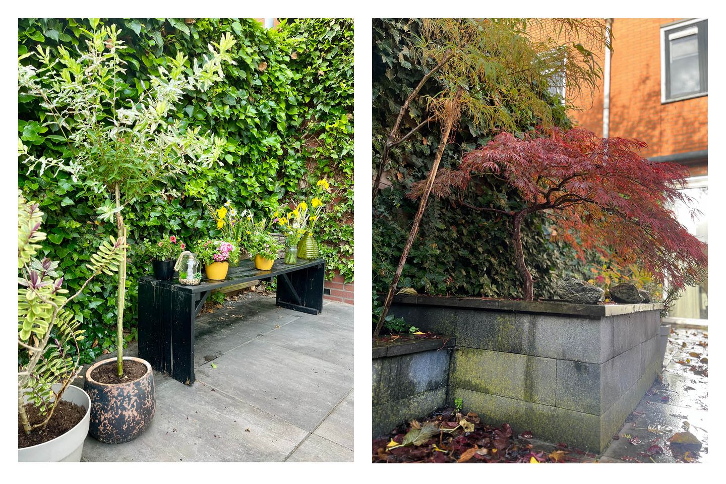 Foto 40 van Vivaldisingel 161