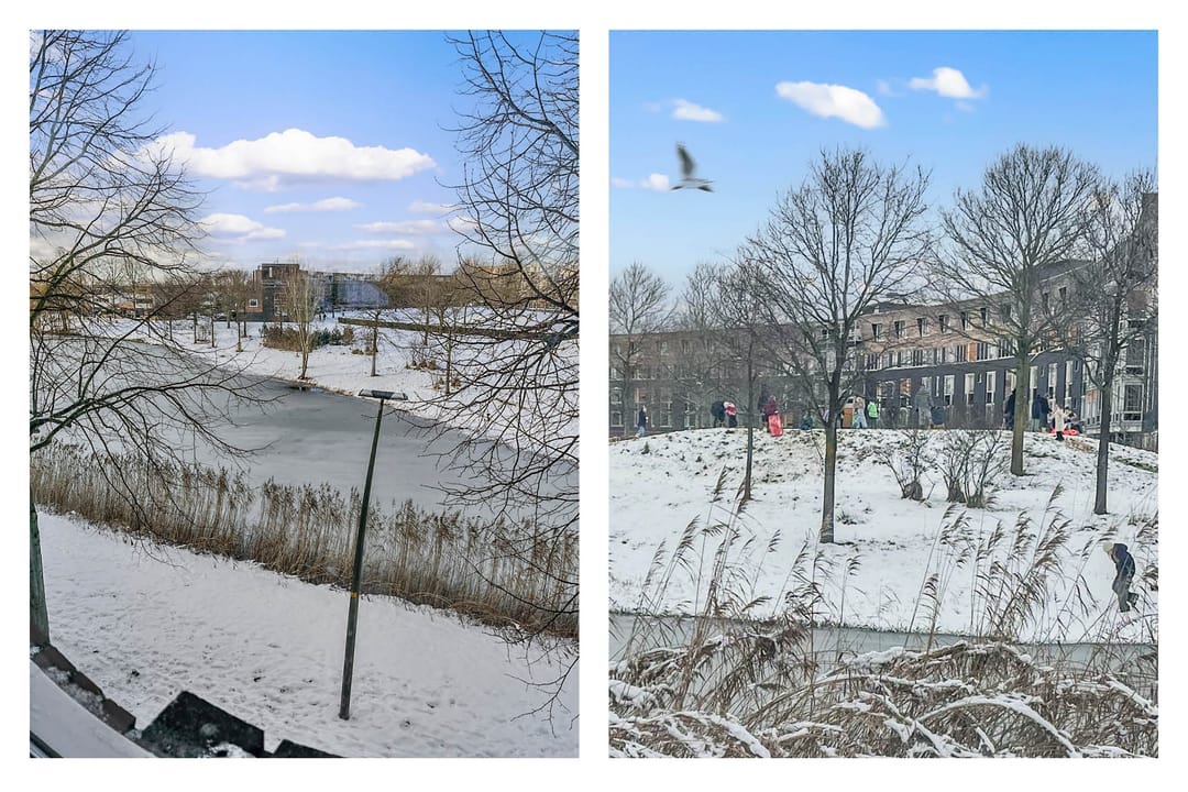 Foto 41 van Vivaldisingel 161