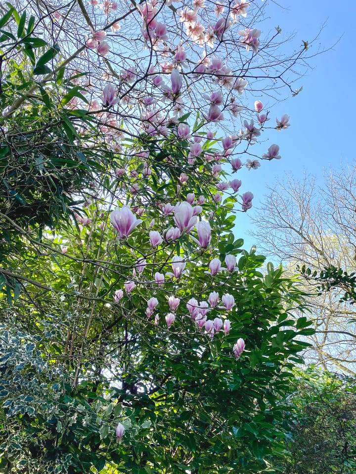 Foto 45 van Bakkersweg 43