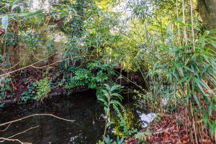 Foto 47 van Bakkersweg 43