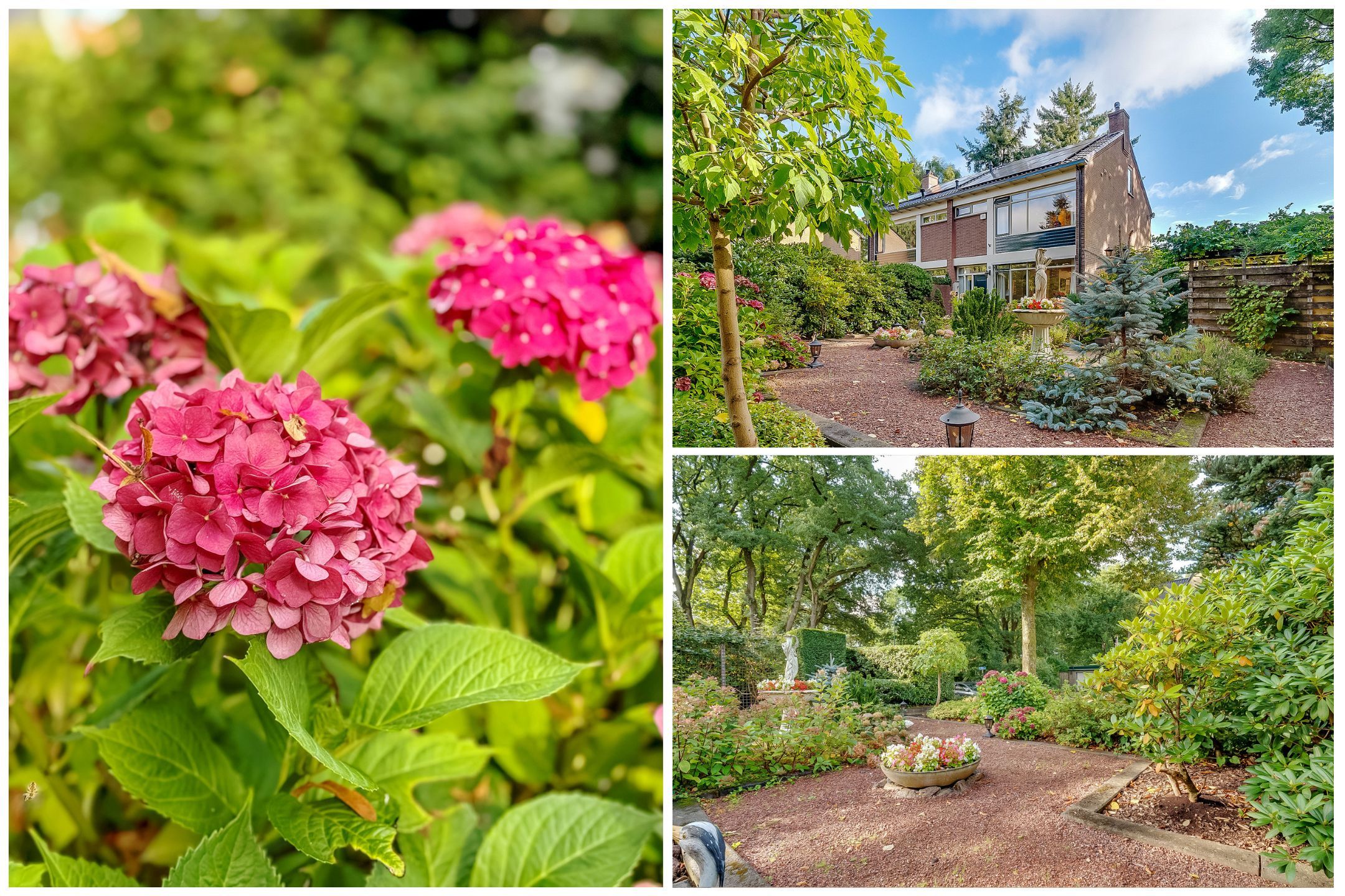 Foto 9 van Generaal Winkelmanstraat 155