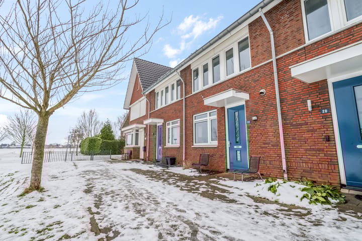 Korianderpad 22 main image