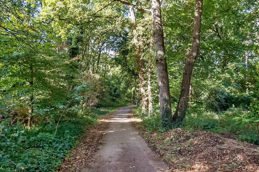 Foto 58 van Generaal Winkelmanstraat 155