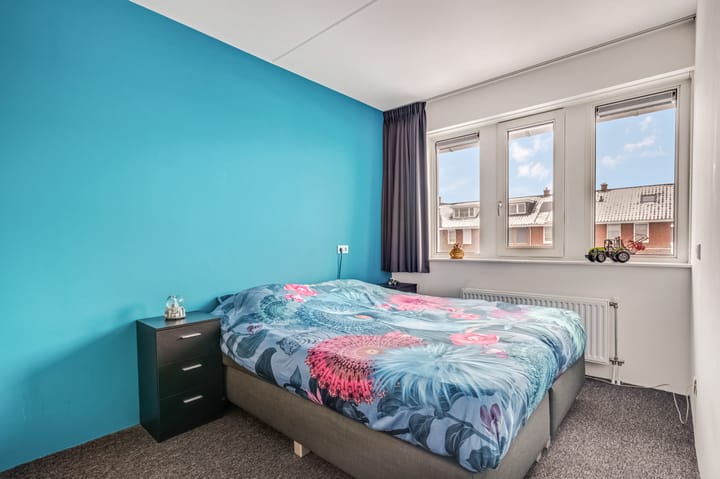 Foto 23 van Korianderpad 22