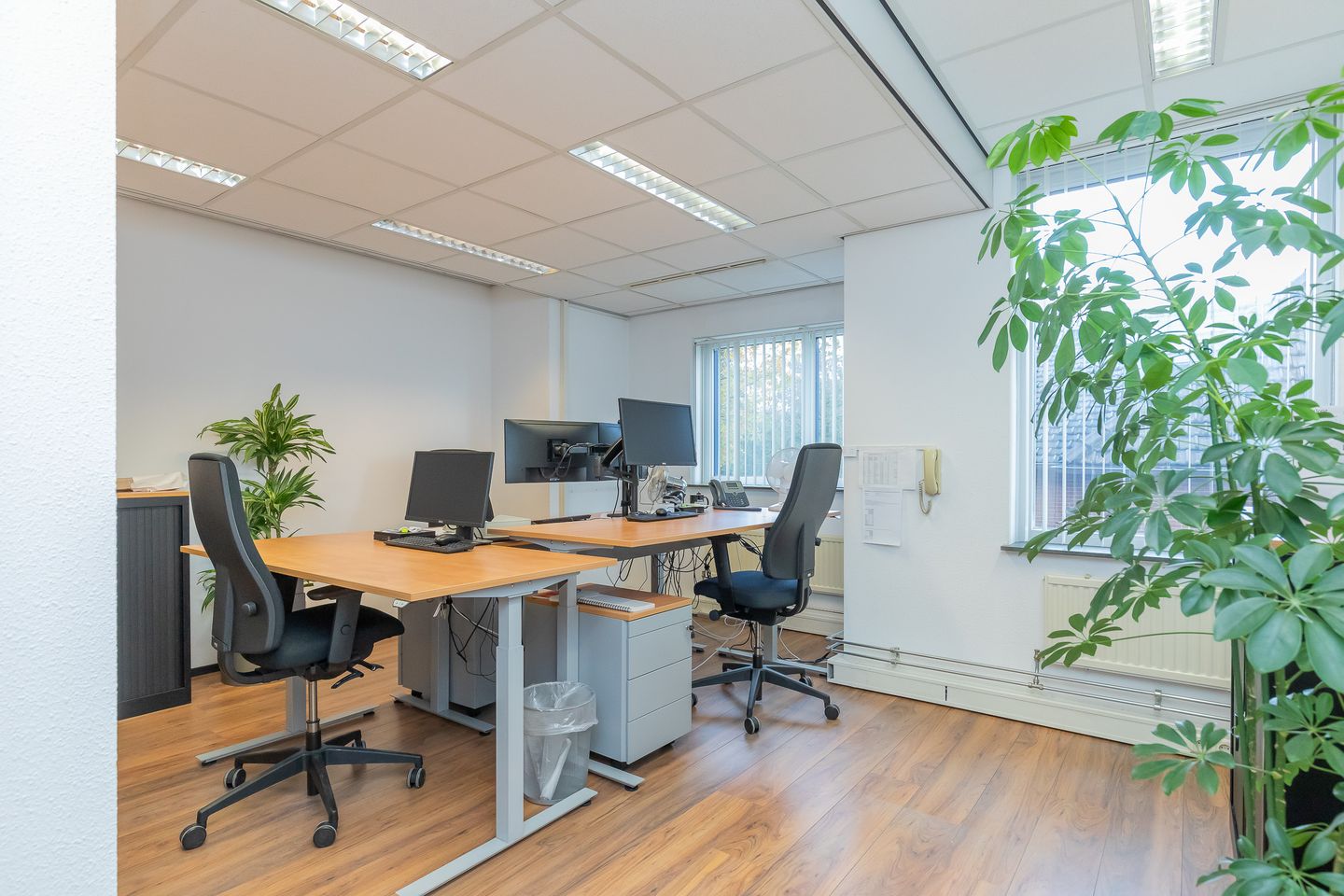 Bekijk foto 3 van Leidseweg 33