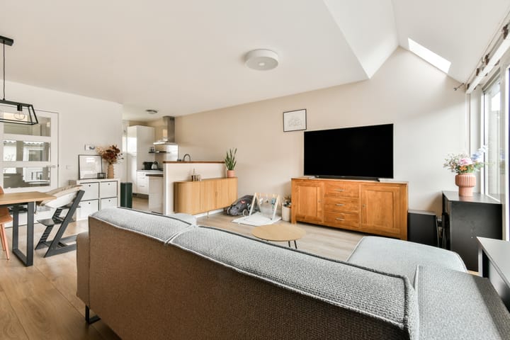 Foto 11 van Saturnus 43