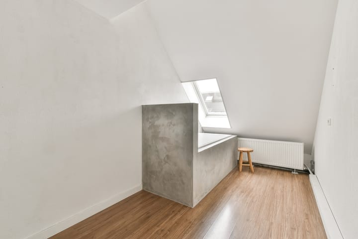 Foto 21 van Saturnus 43