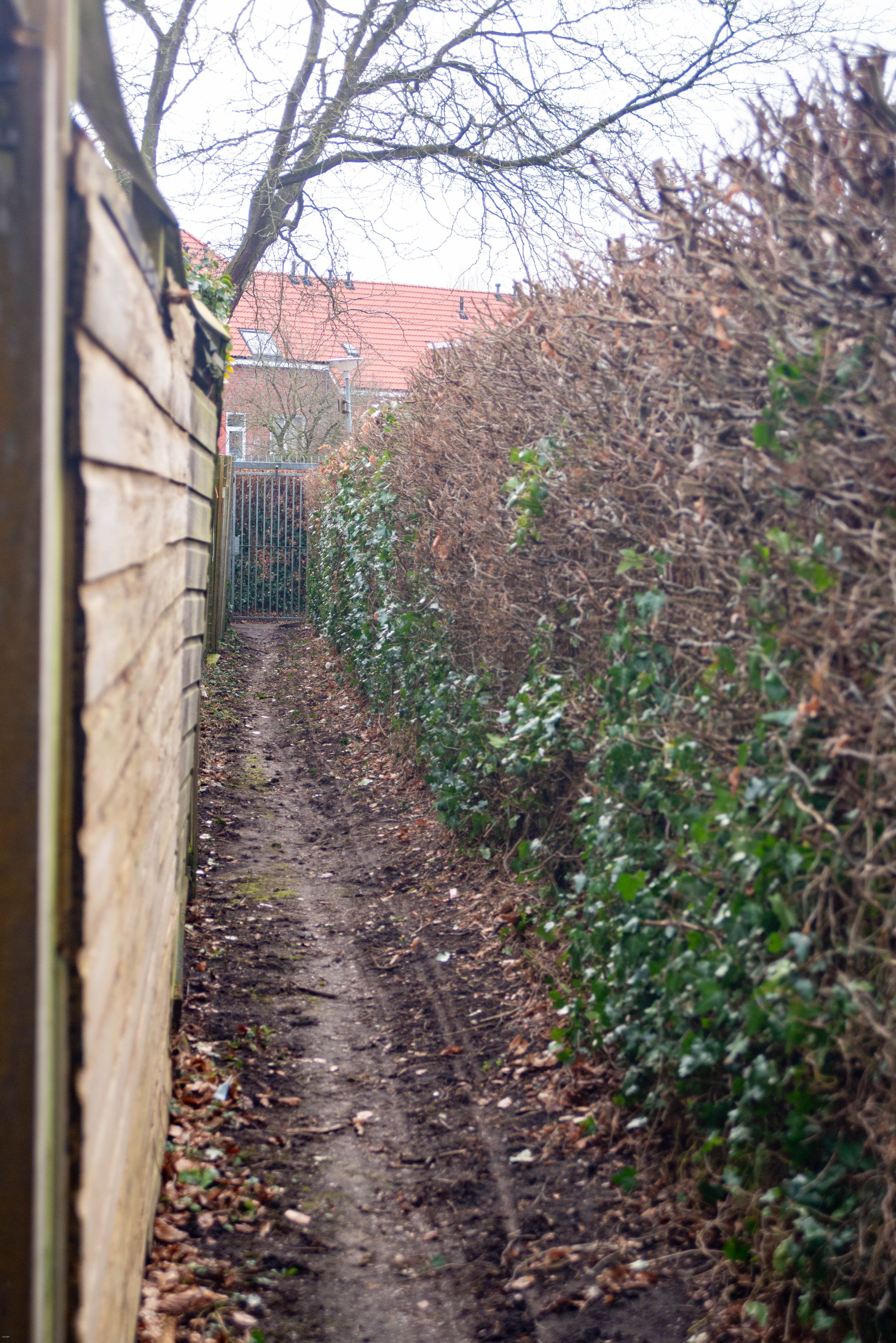 Foto 45 van Prinsesseweg 58