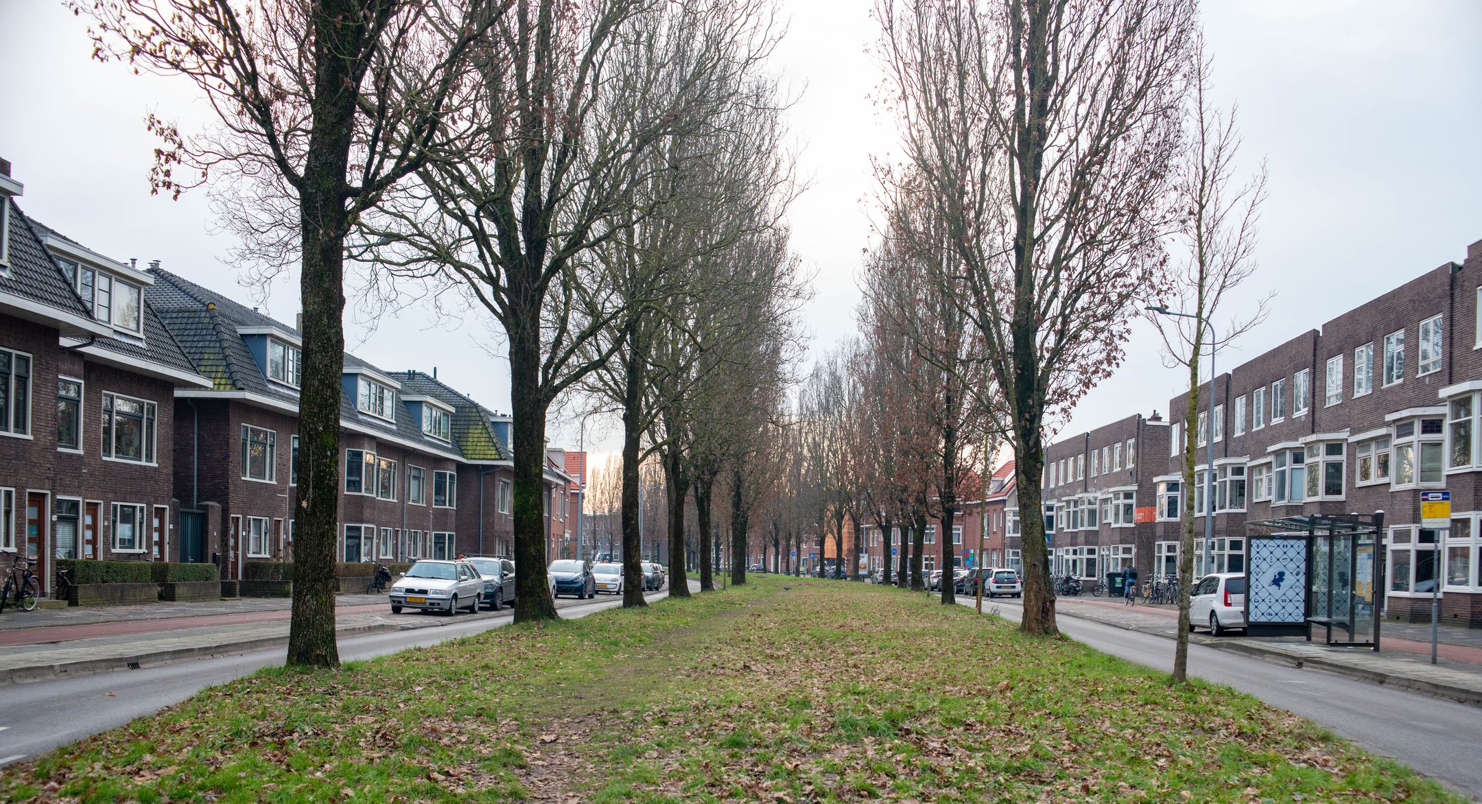 Foto 48 van Prinsesseweg 58