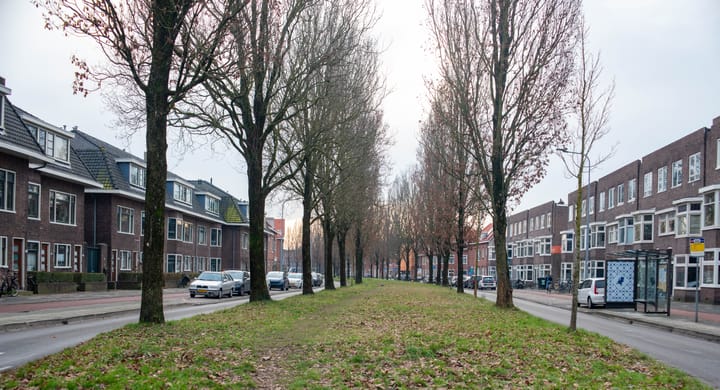 Foto 48 van Prinsesseweg 58