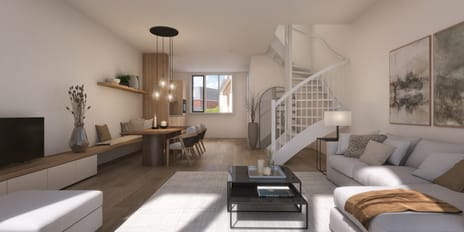 De Noort tertiary image