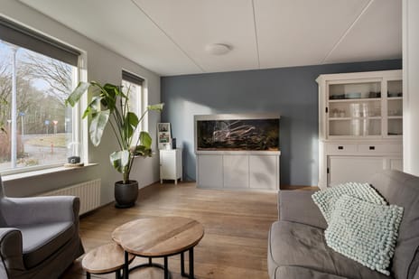 Boekweitveld 42 tertiary image