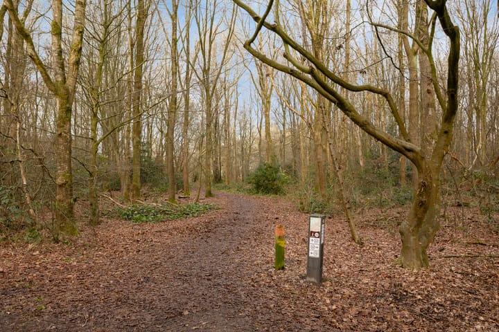 Foto 33 van Boekweitveld 42