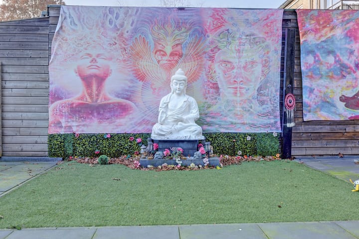 Foto 12 van Paulus Potterstraat 77