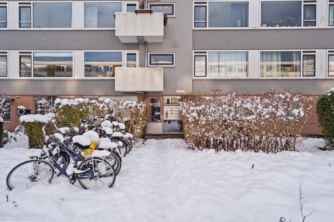 Foto 8 van Auriollaan 25