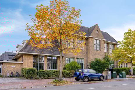 undefined main image