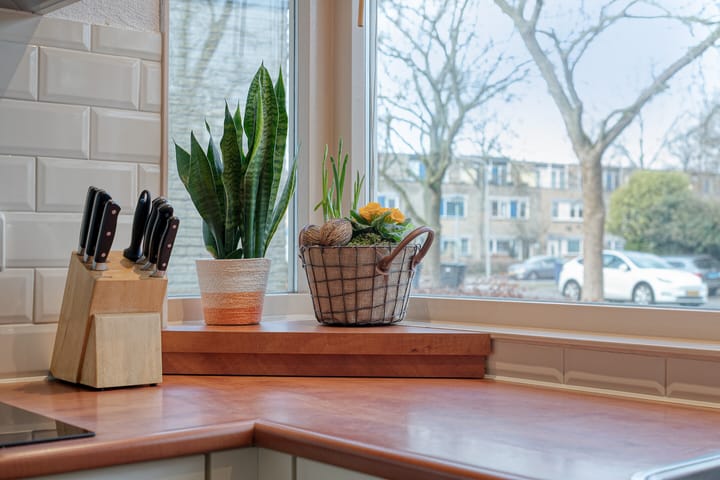 Foto 17 van Catalpastraat 44