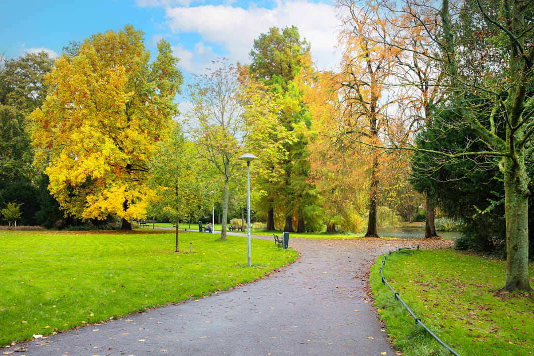 Photo 31 of Baanstraat 7