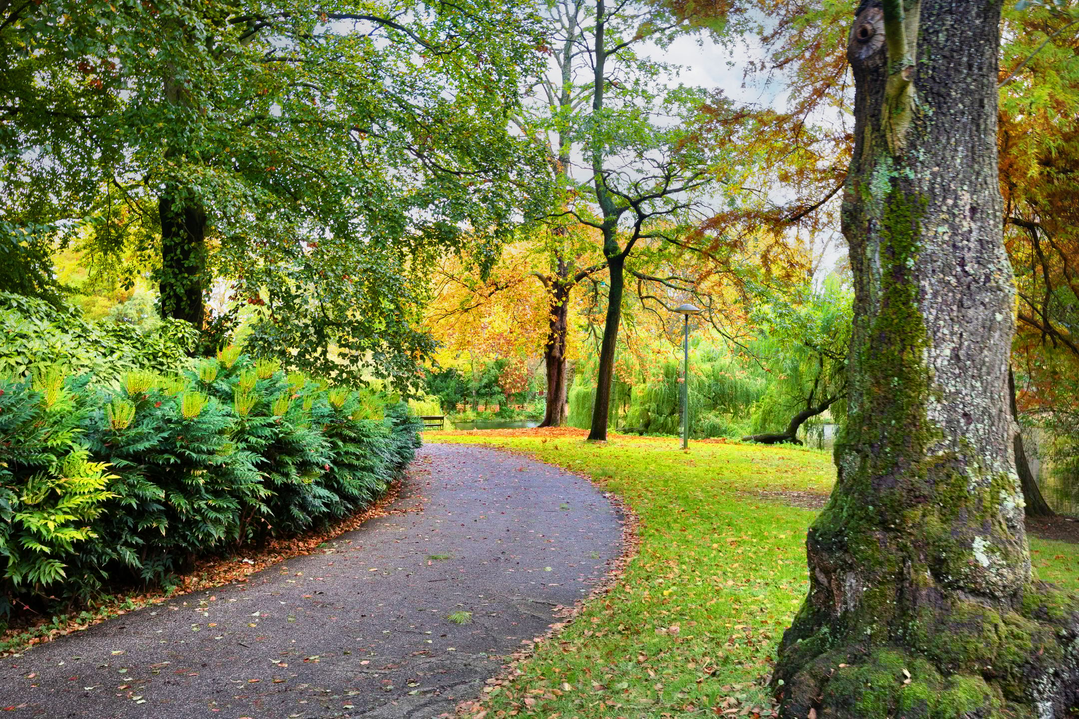 Photo 33 of Baanstraat 7