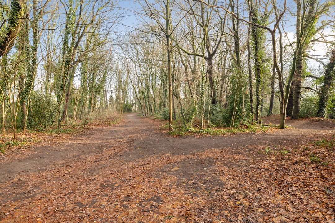 Foto 31 van Ernst Casimirlaan 113