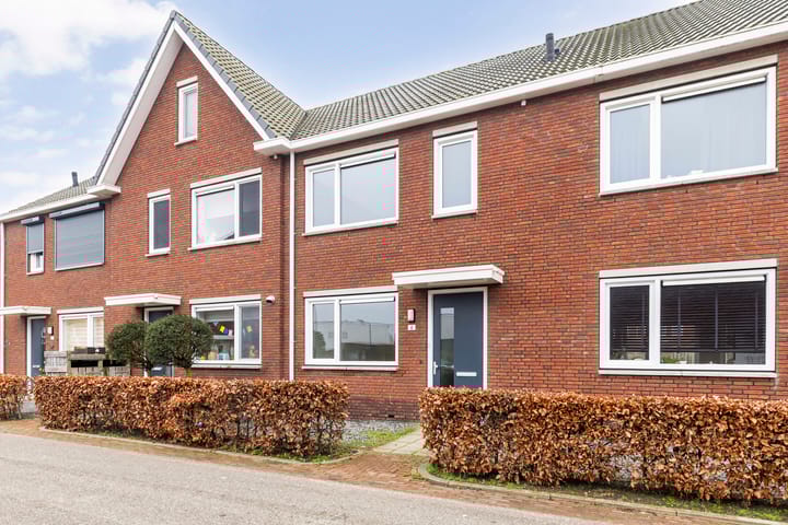 Foto 5 van Blauwe Schoe 6