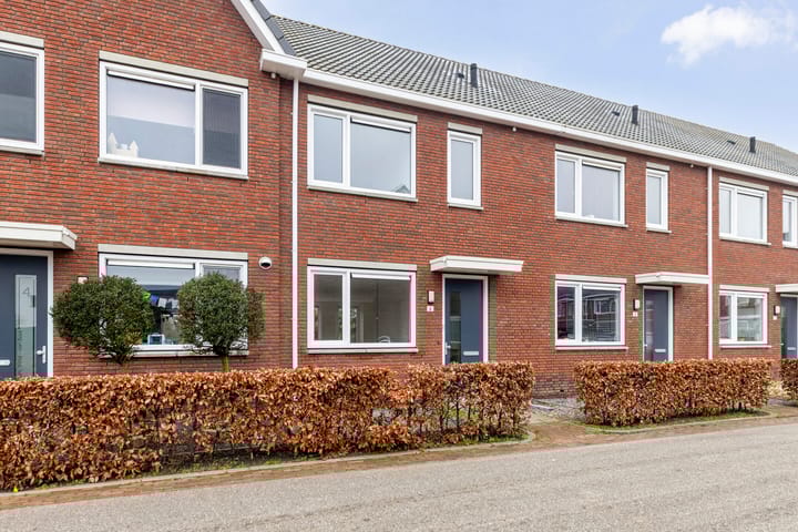 Foto 6 van Blauwe Schoe 6