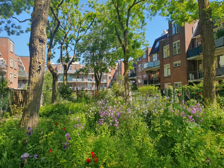 Foto 5 van Bloemkwekersstraat 18-A