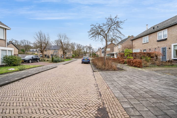 Foto 37 van Hunze 20