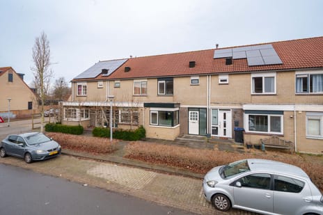 undefined main image