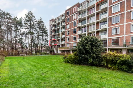 Ranonkelstraat thumbnail