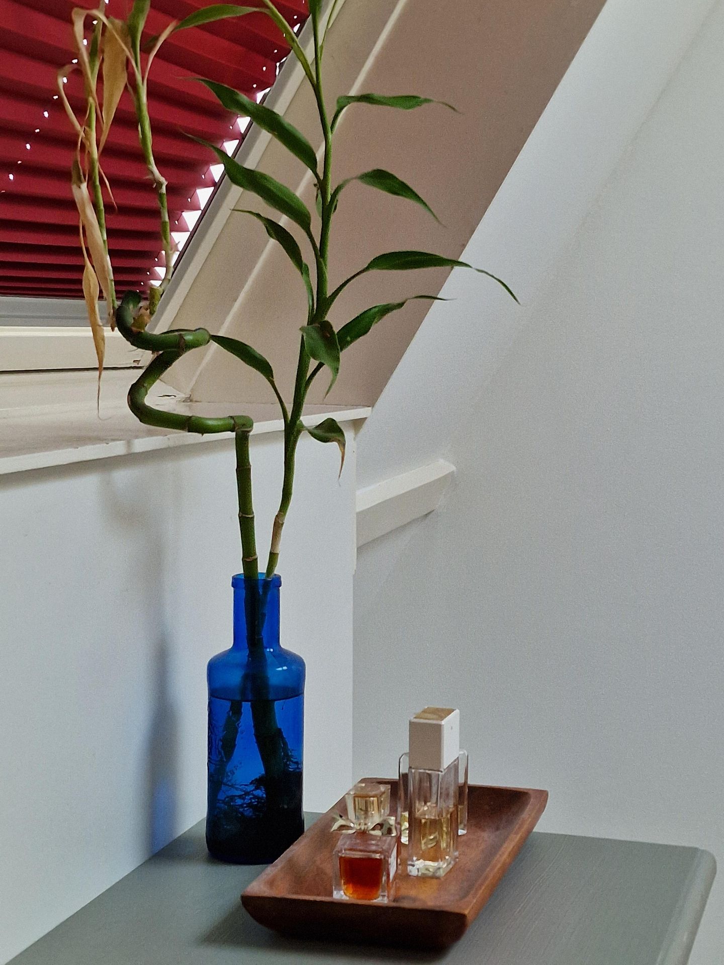 Foto 49 van Groot Hertoginnelaan 210-A