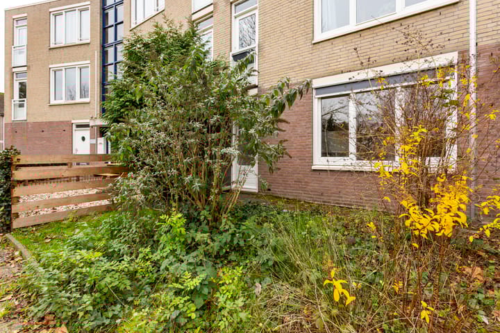 Foto 7 van Vrijhoef 12