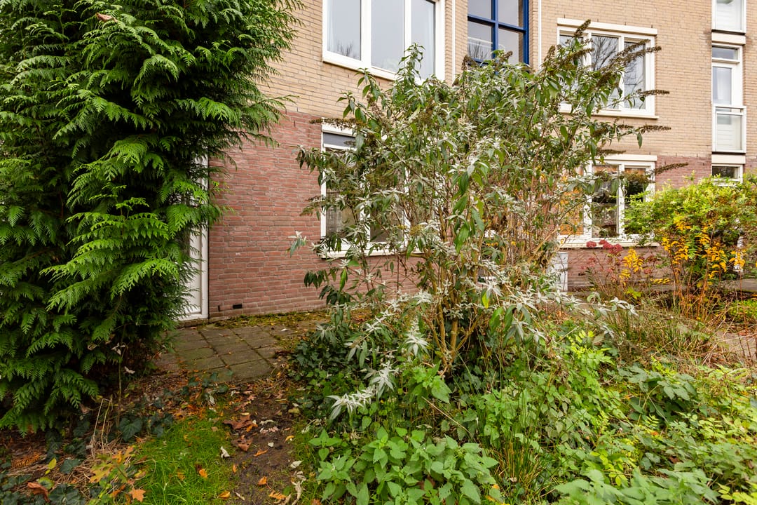 Photo 32 of Vrijhoef 12