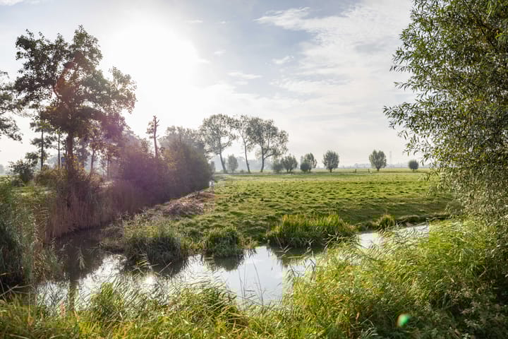 Photo 54 of De Ljip 9