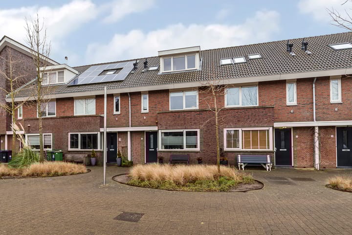 Foto 1 van Bruinvis 16