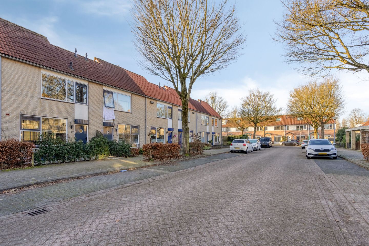 Photo 29 of Pauwoog 63