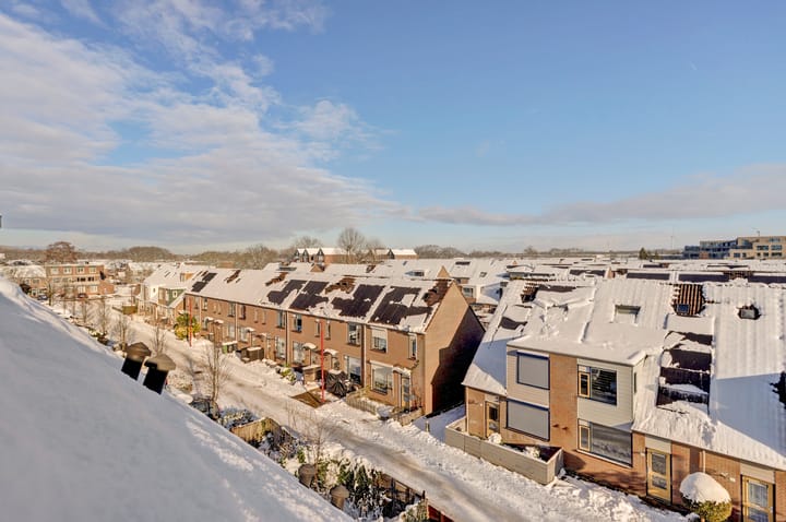 Foto 7 van Orvelterdek 47